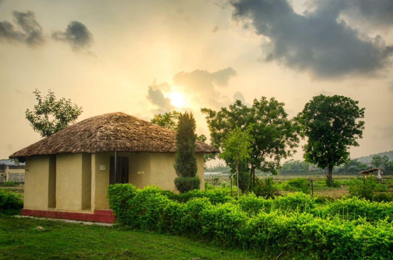 Tusk And Roar Corbett Resort Dhela Exterior foto